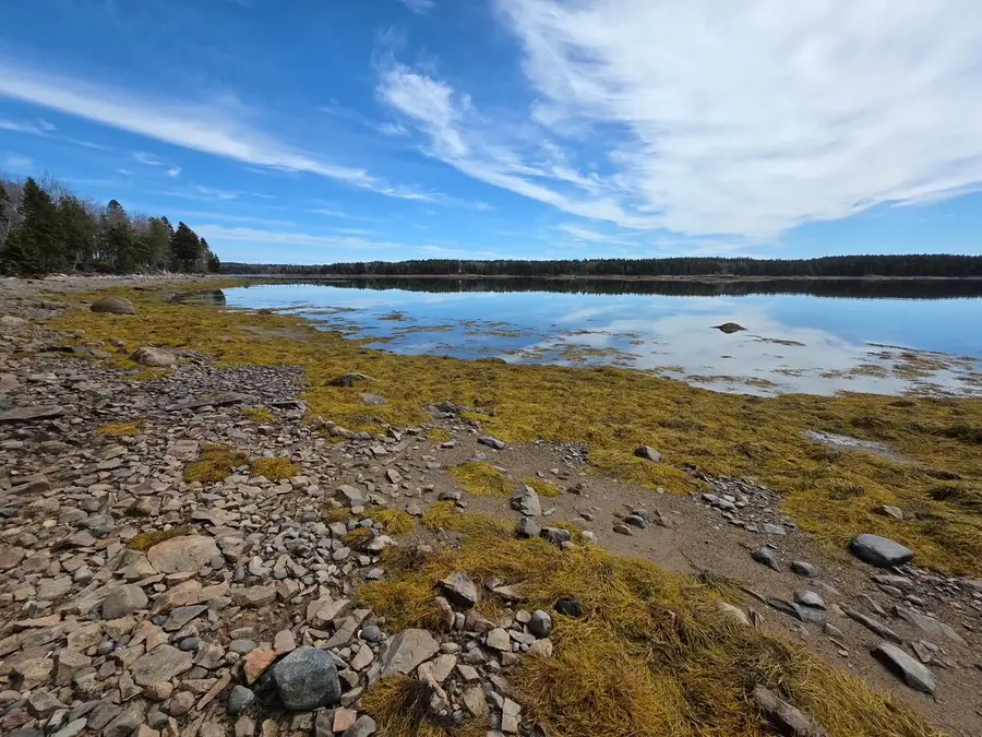 Lot 4 125 Aspen Lane, Steuben, ME 04680 - #3