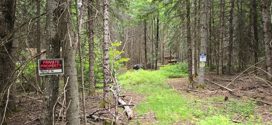 57 Fred Soucie Lane, Winterville, ME 04739 - #3