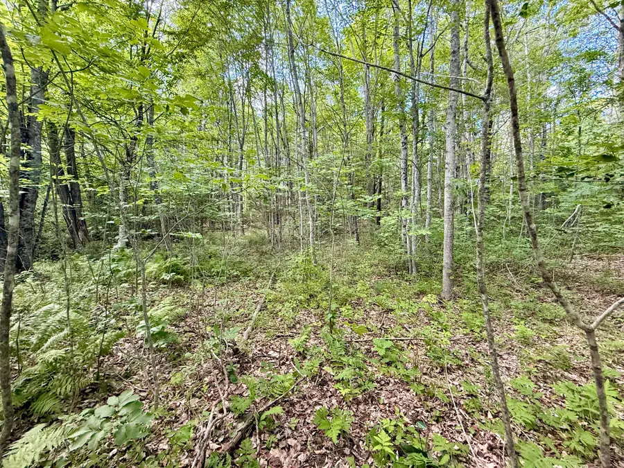 0 W Washington Road, Washington, ME 04574 - #3