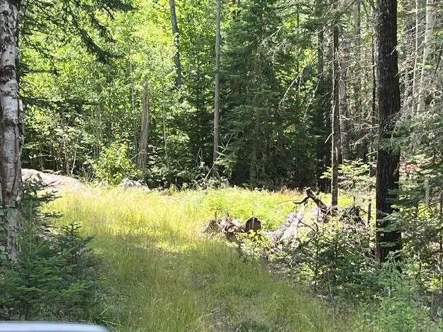 Lot 24A Bemis Road, Rangeley Plt, ME 04970 - #3