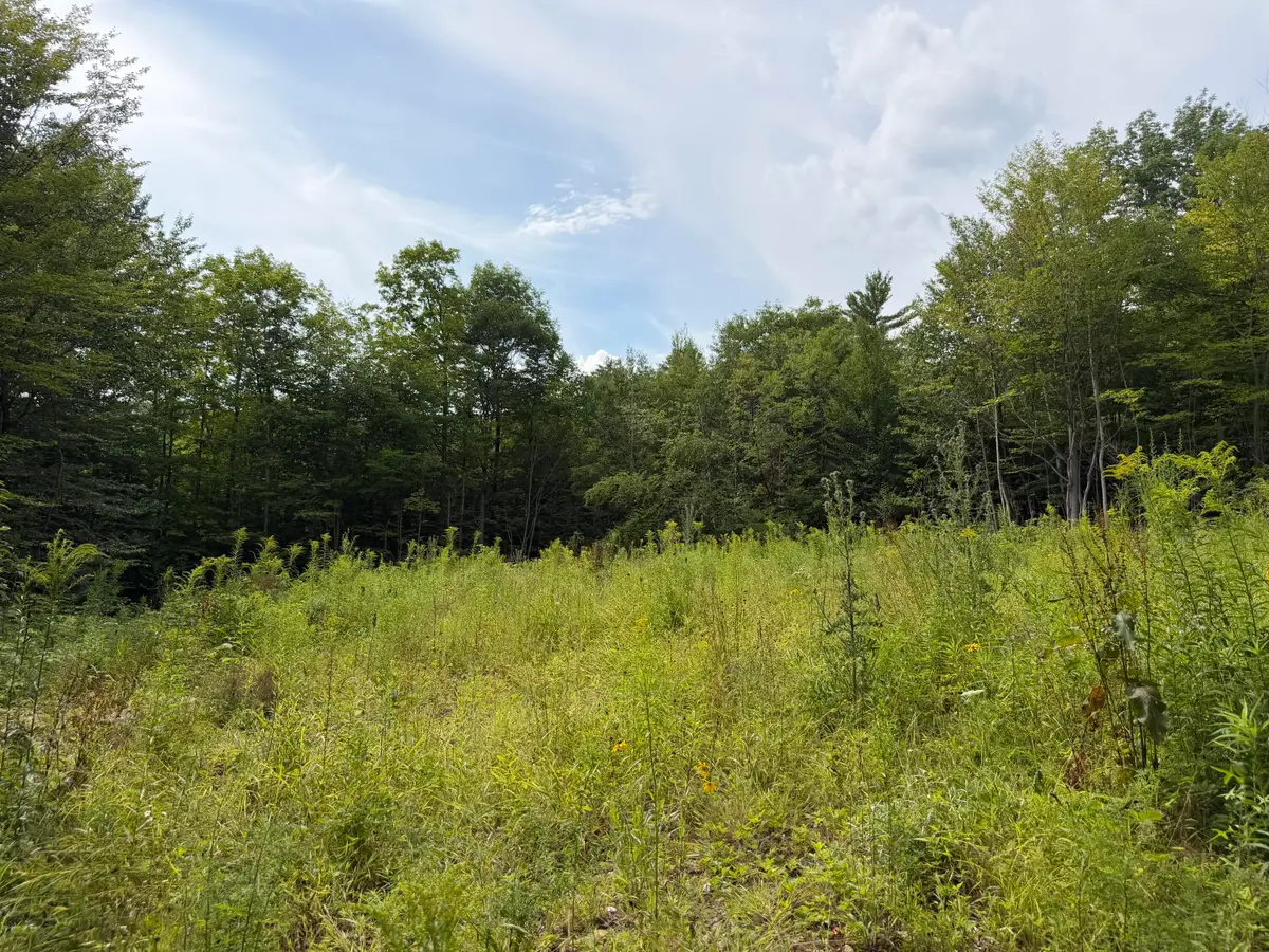 Lot 60&116 Plaisted Road, Jay, ME 04239 - #1