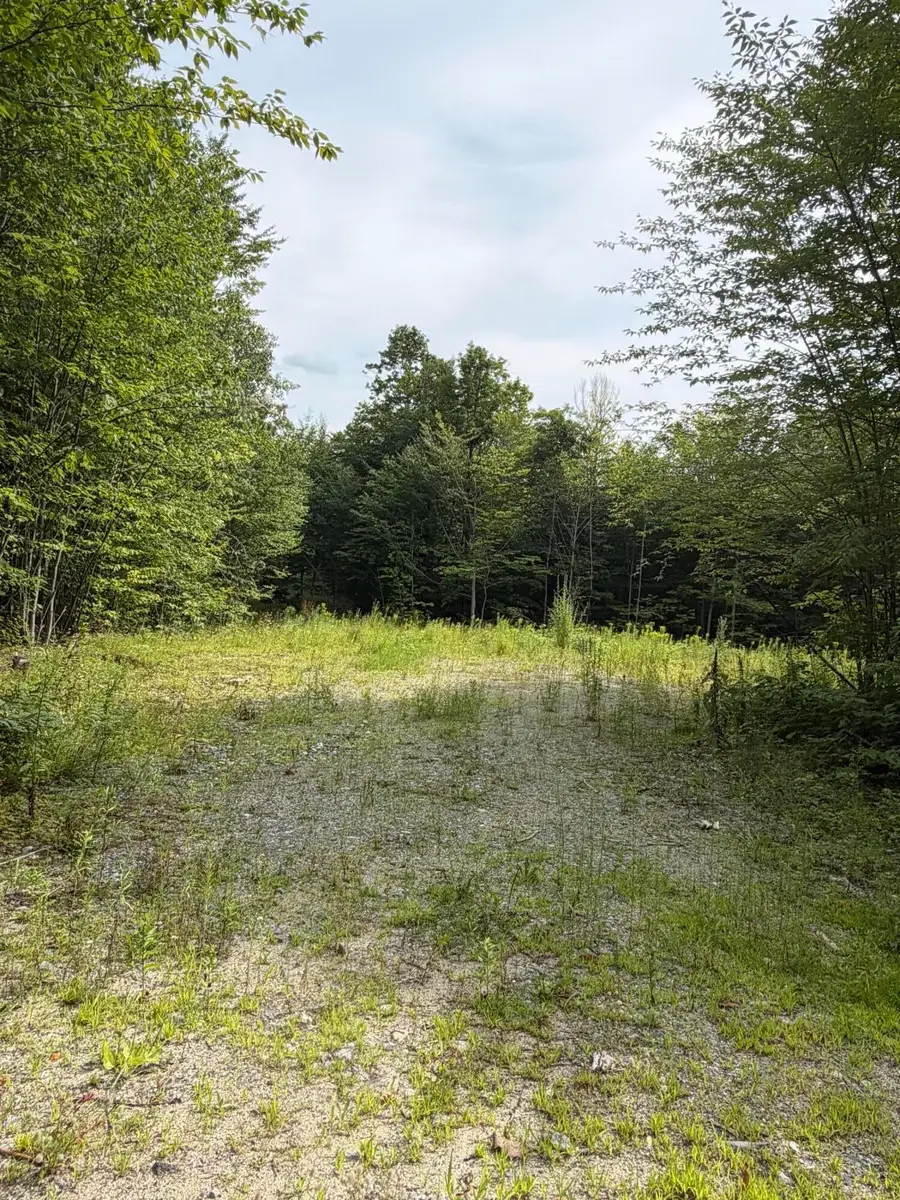 Lot 60&116 Plaisted Road, Jay, ME 04239 - #2