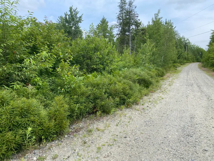 M223, L16-4, Poplar Lane, Hancock, ME 04640 - #3
