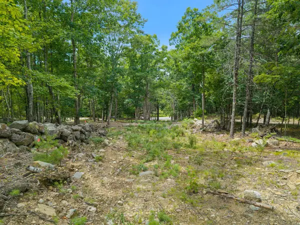 Lot 5-6 A Libby Road, Newfield, ME 04095