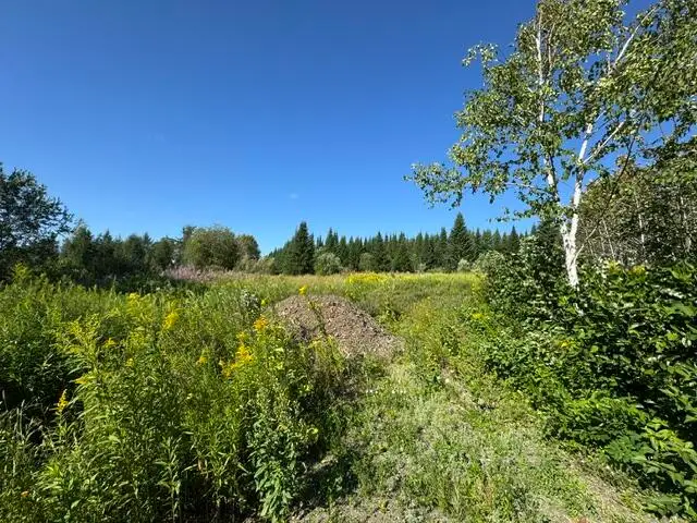 M3/L22 Off Monson Mill Road Road, Fort Fairfield, ME 04742 - #2