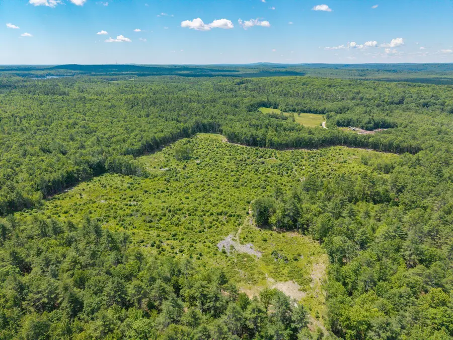73 Acres Main Street, East Waterboro, ME 04005 - #3