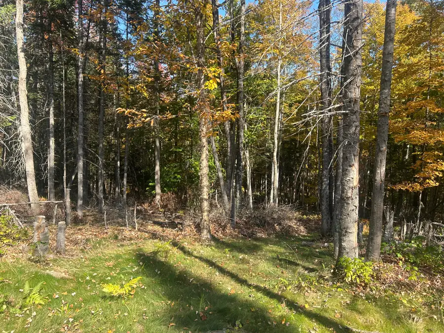 75 Twin Oaks Drive, Saint Albans, ME 04971 - #3