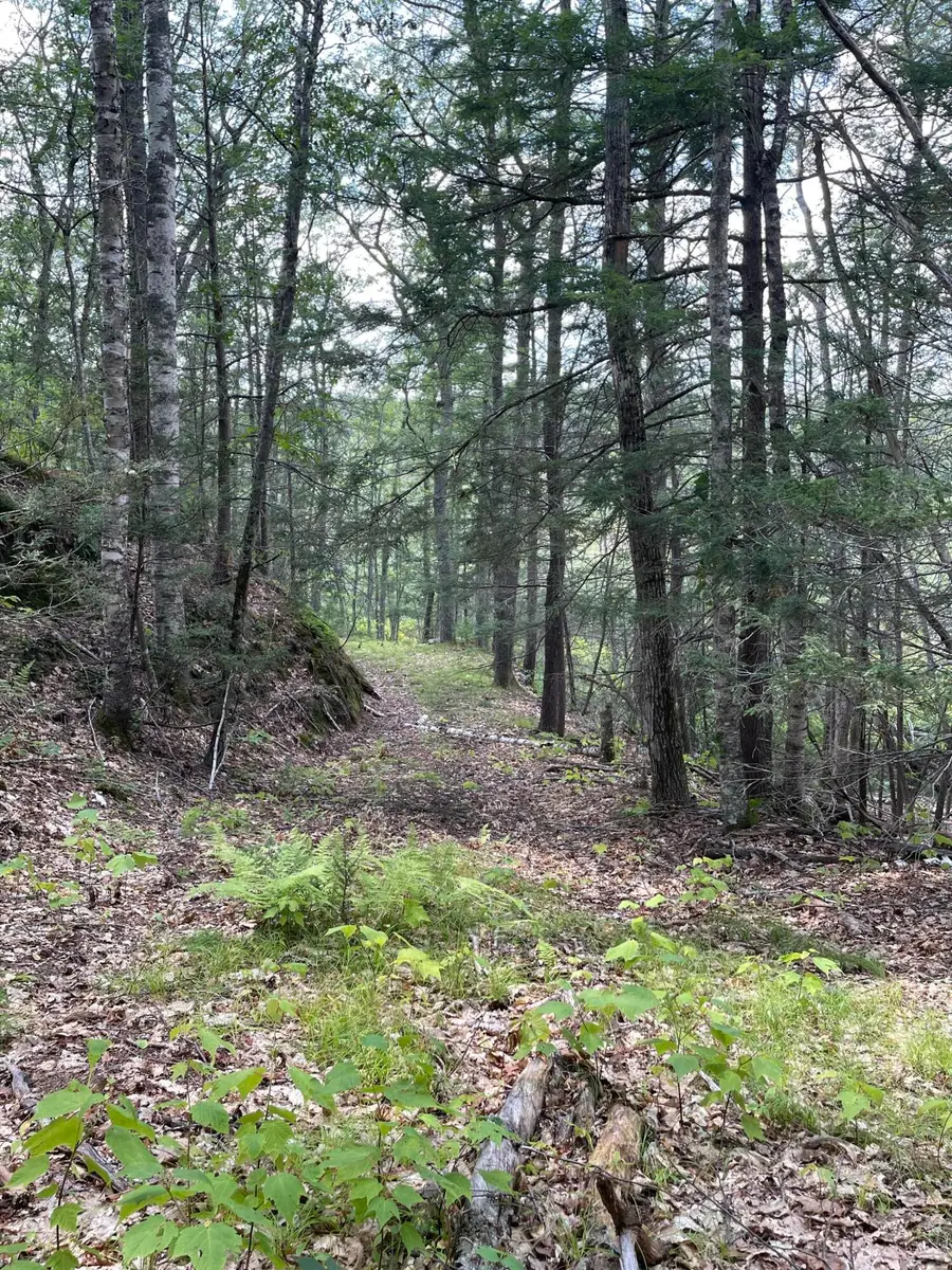 M3 L27-6 Arrowsic Road, Arrowsic, ME 04530 - #2