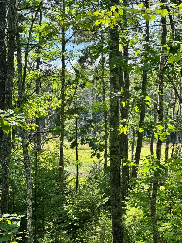 0 Henry Creek Way, Harpswell, ME 04079