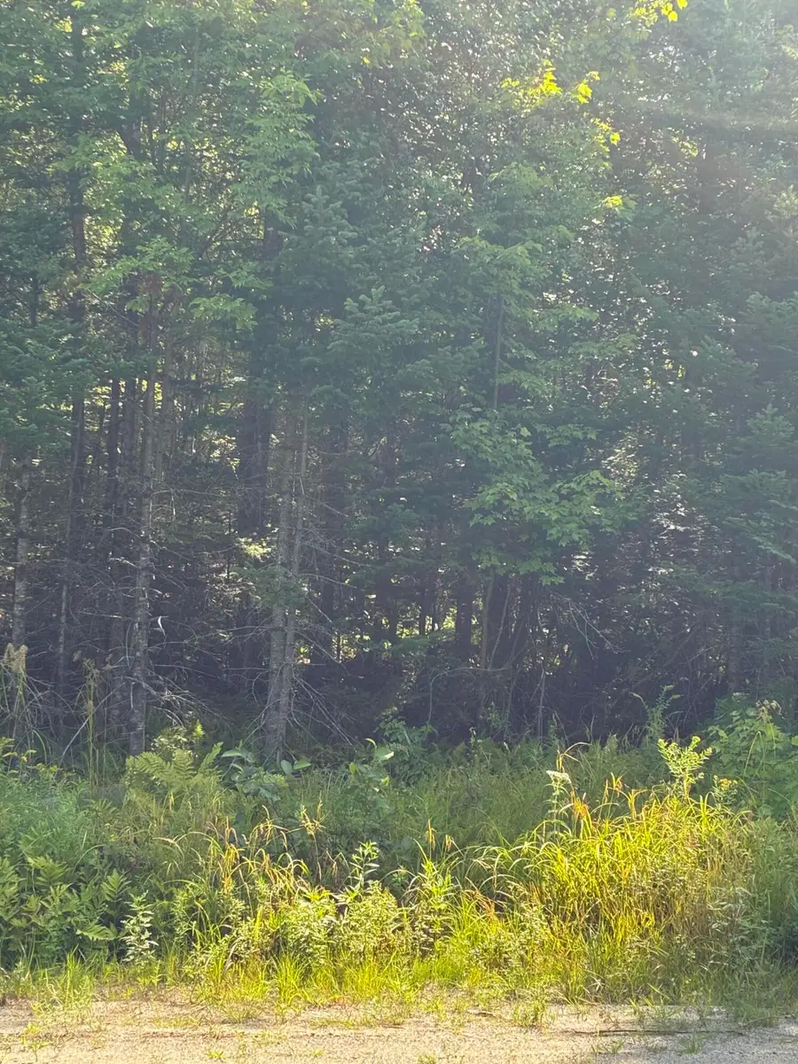 1256 Long Ridge Road, Burlington, ME 04417 - #2