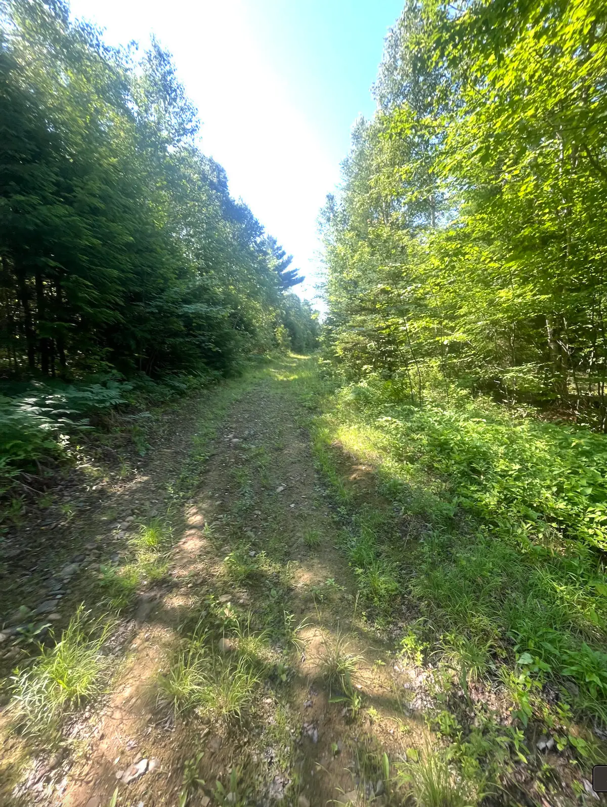 0 Pine Grove Lane, Lagrange, ME 04453 - #1
