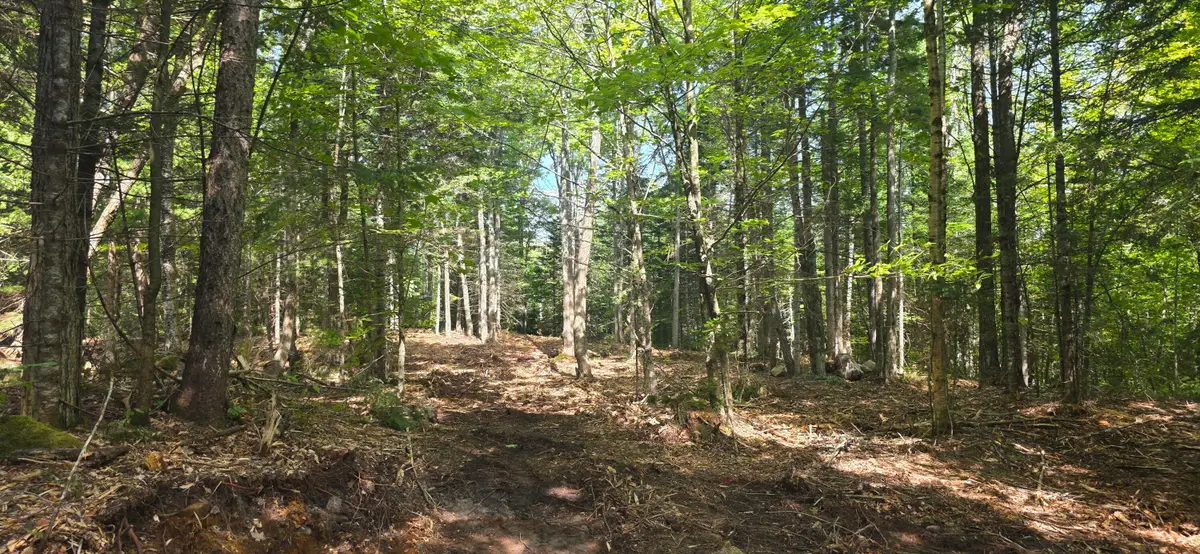 18A Concord Pond Road, Woodstock, ME 04219 - #1