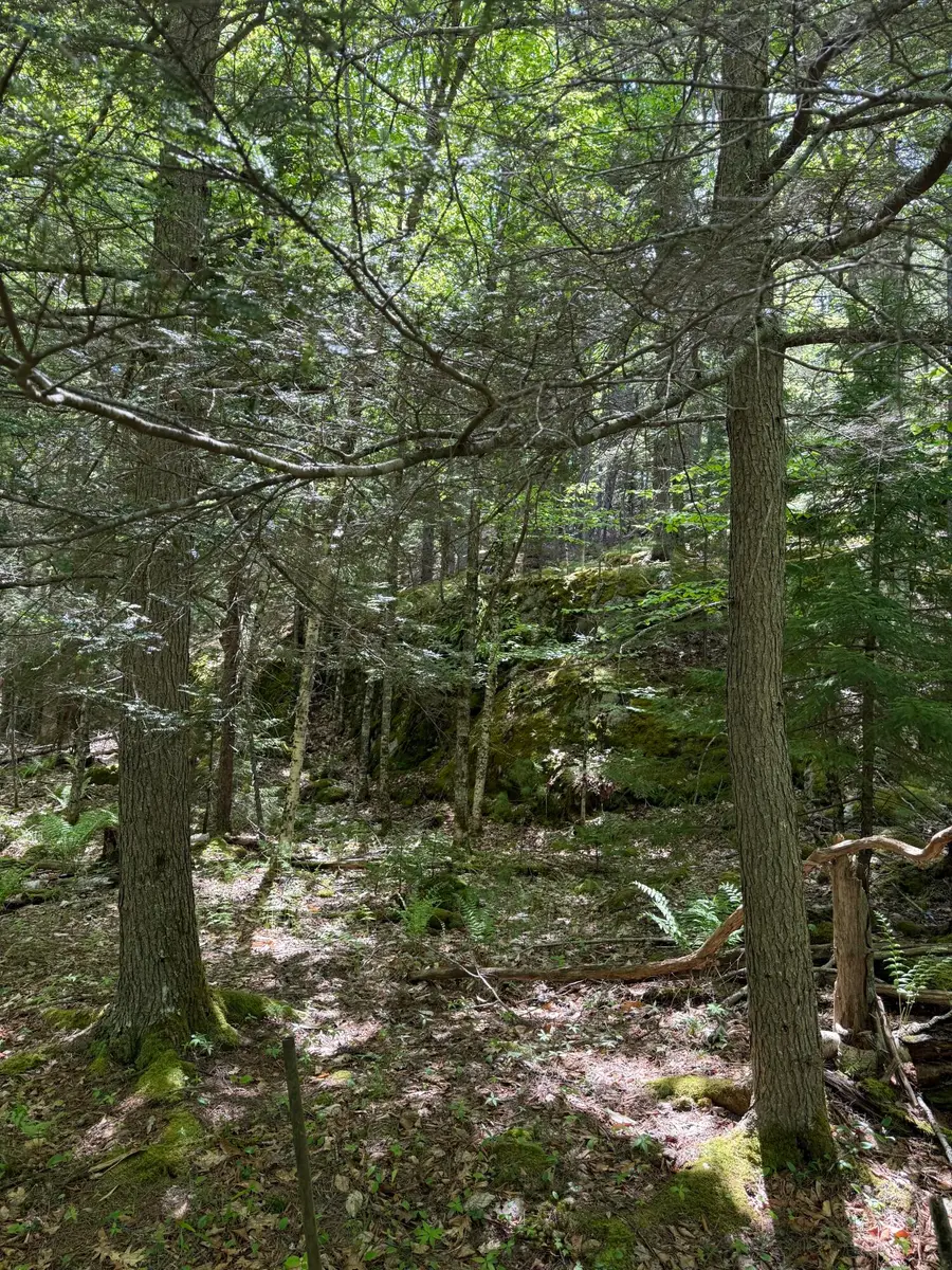63 Sebasco Road, Phippsburg, ME 04562 - #3