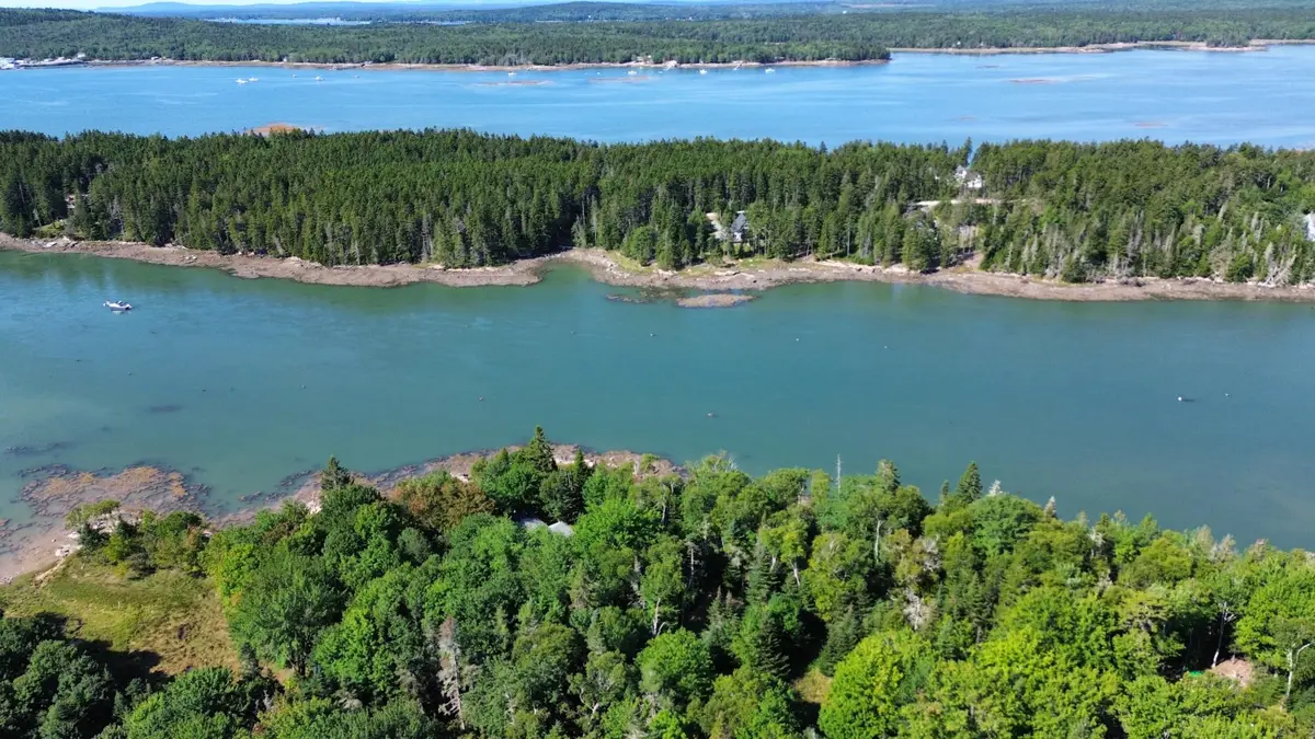 Lot 5C Tom Leighton Point Road, Milbridge, ME 04658 - #1
