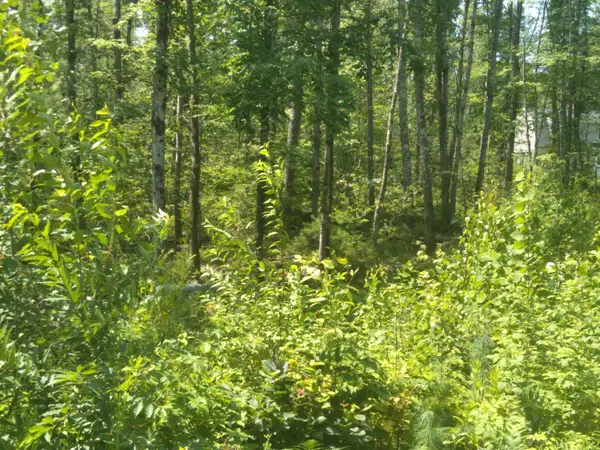 Lot #1 Harry Howes Road, Sanford, ME 04073