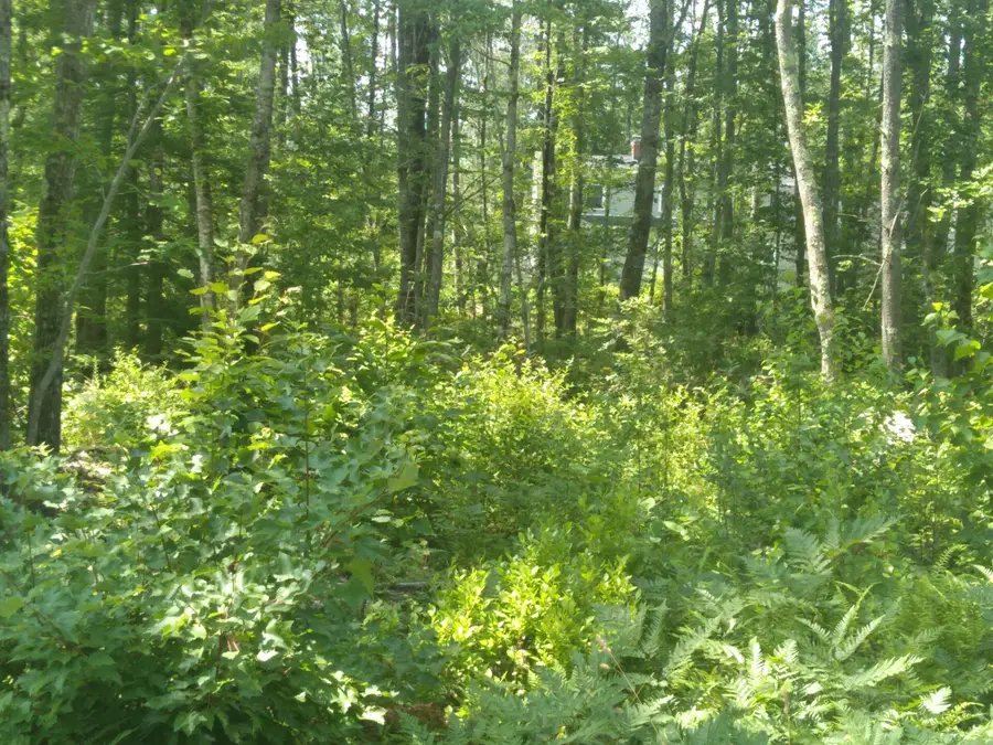 Lot #1 Harry Howes Road, Sanford, ME 04073 - #2