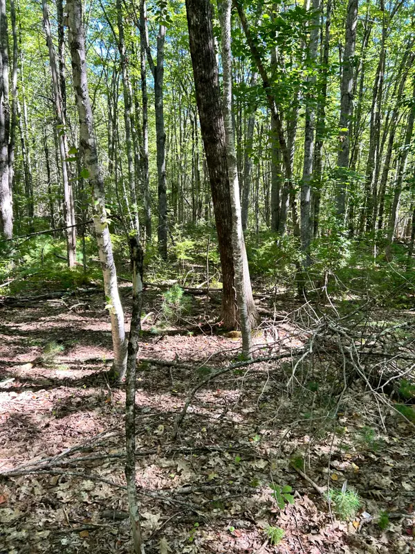 #56 S South Waterboro Road, Lyman, ME 04002