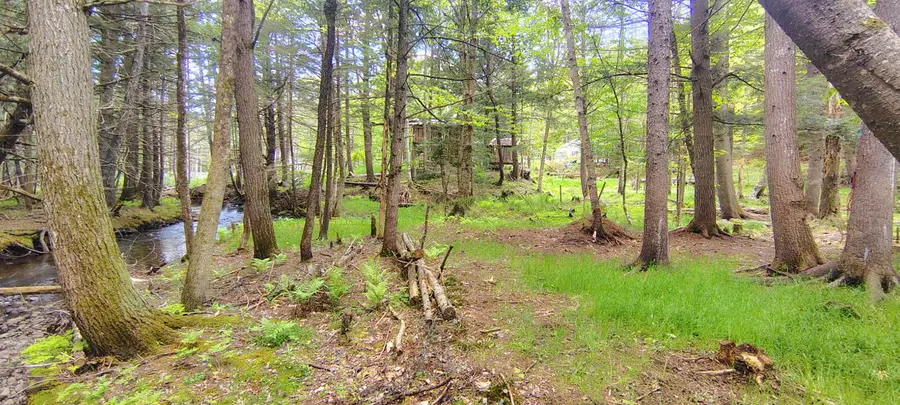 463 Clover Mill Road, Farmington, ME 04938 - #2