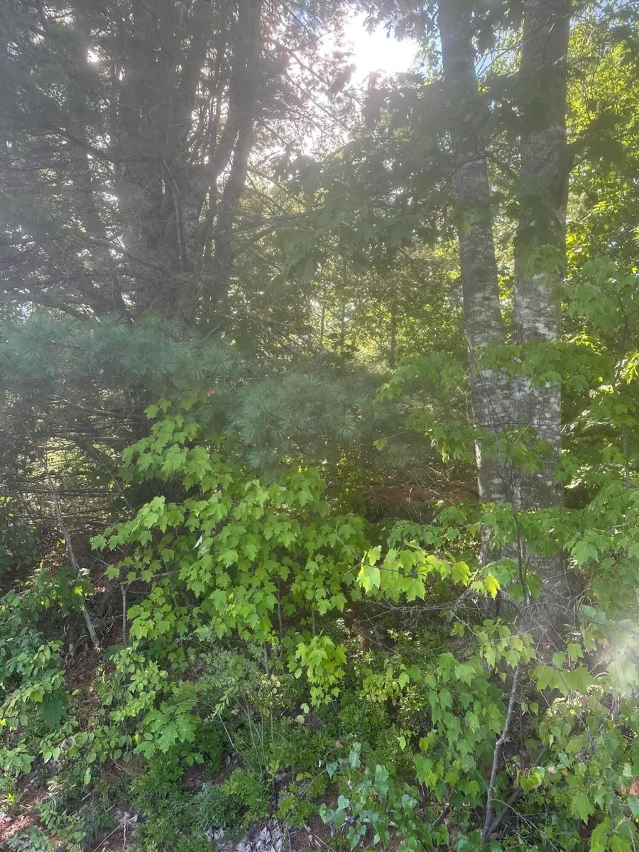 Lot 2 W Side Unionville Road, Steuben, ME 04680 - #2