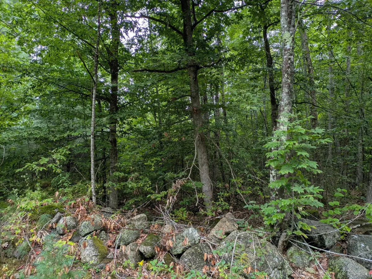 135 Old Country Way, Limerick, ME 04048 - #1