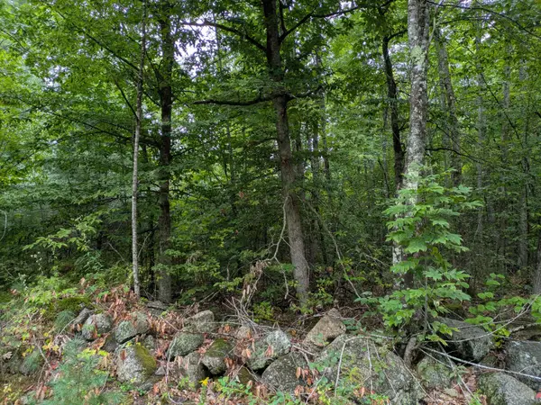 135 Old Country Way, Limerick, ME 04048