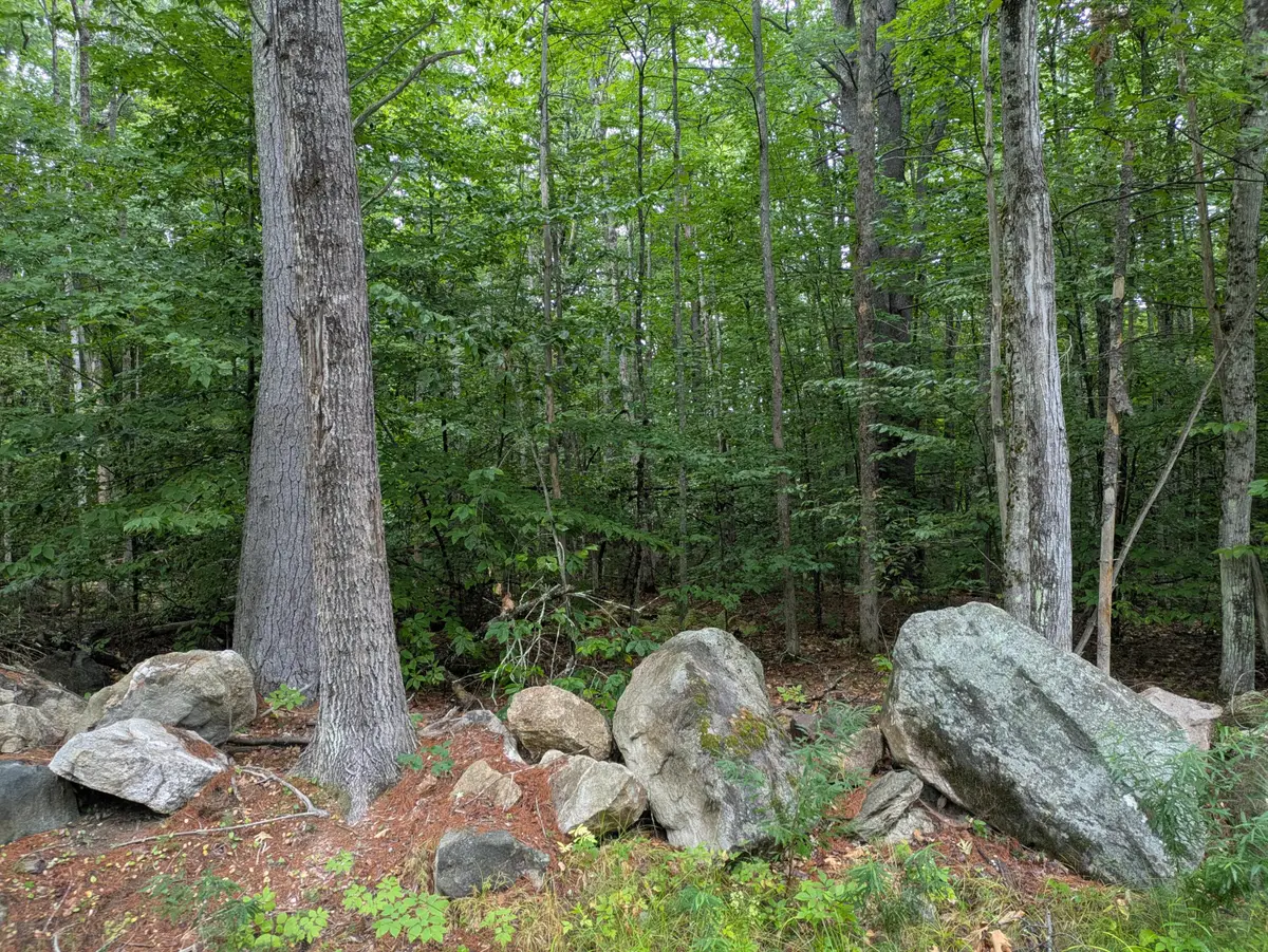 Lot 74 Ridgewood Terrace, Limerick, ME 04048 - #1