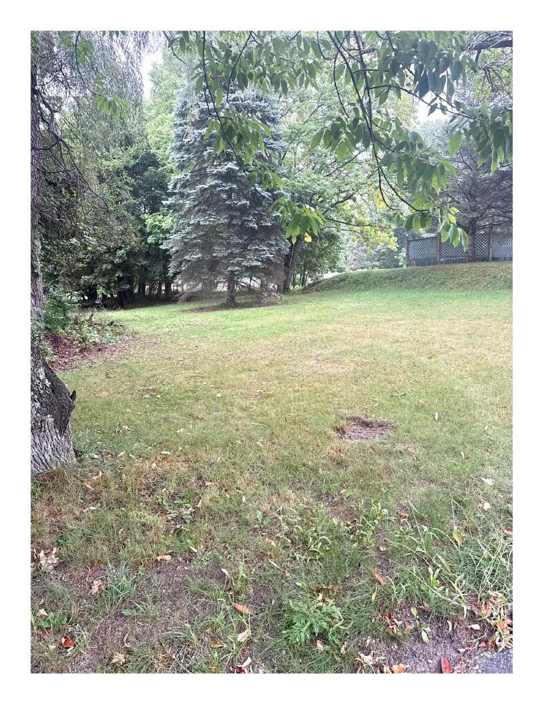 108 Enfield Road, Lincoln, ME 04457 - #3