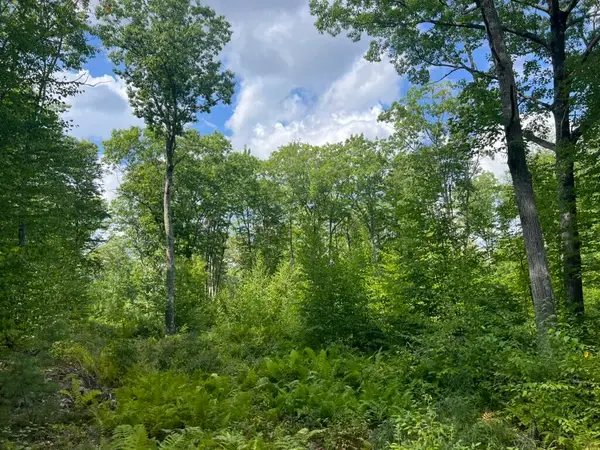 0 Old County Road, Lyman, ME 04002
