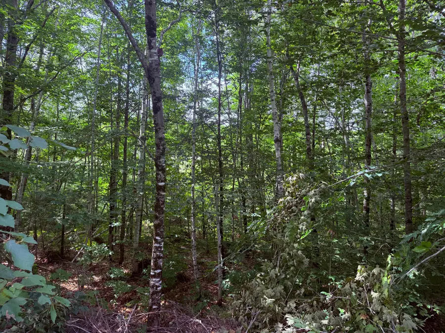 TBD Sawyer Mountain Road, Limerick, ME 04048 - #3