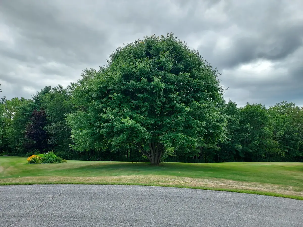 27 Emery Avenue, Thomaston, ME 04861 - #1
