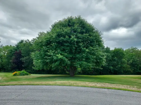 27 Emery Avenue, Thomaston, ME 04861