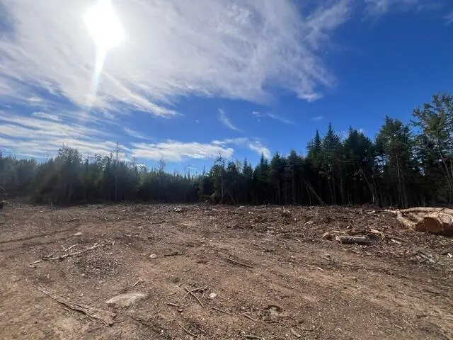 Lot 4.3 Off Estabrook Road, South Aroostook, ME 04471 - #2