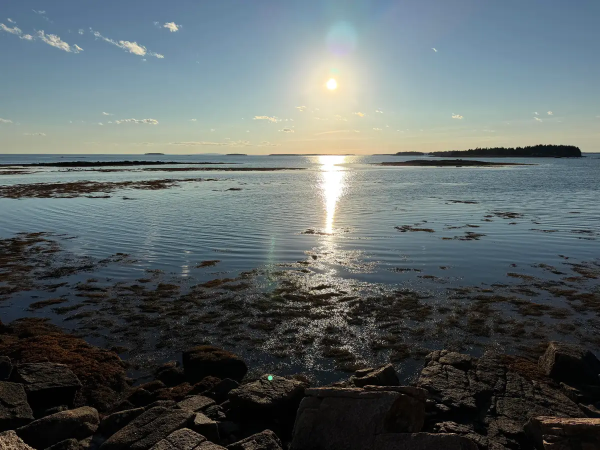 463 Black Duck Cove Road, Beals, ME 04611 - #1