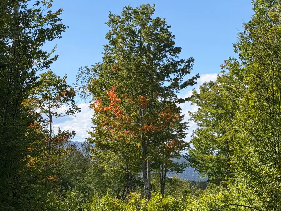 37 Bay View Drive, Greenville, ME 04441 - #2