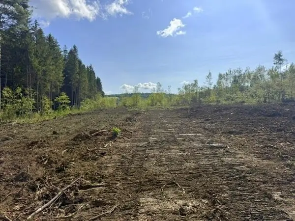 Lot 23 Holley Road, Farmington, ME 04938