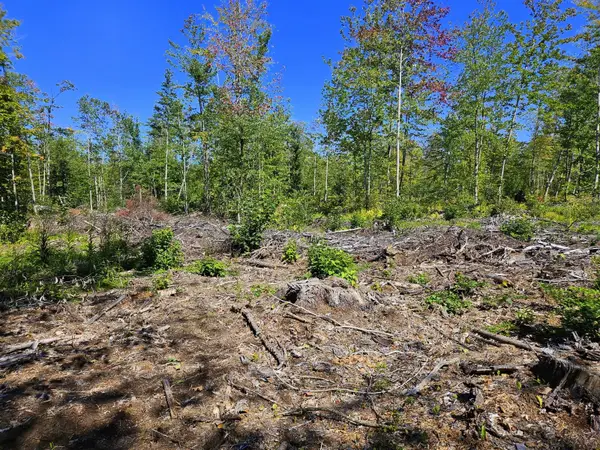 Lot 33-2 Cape Cod Hill Road, New Sharon, ME 04955