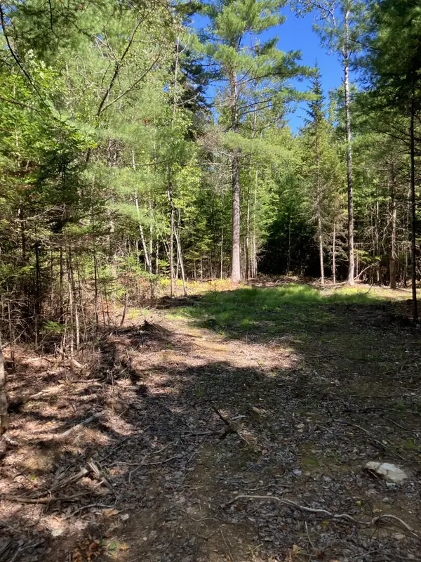 0 Spring Brook Drive, Lincolnville, ME 04849