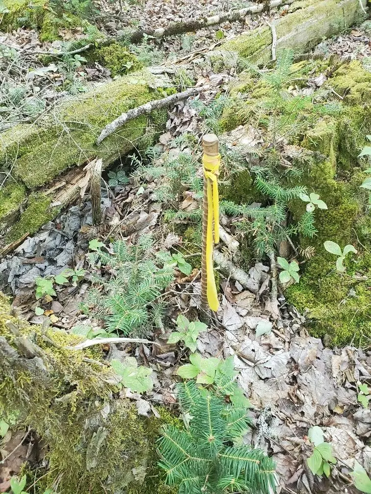 45/46D Duck Cove Road, Roque Bluffs, ME 04654 - #2