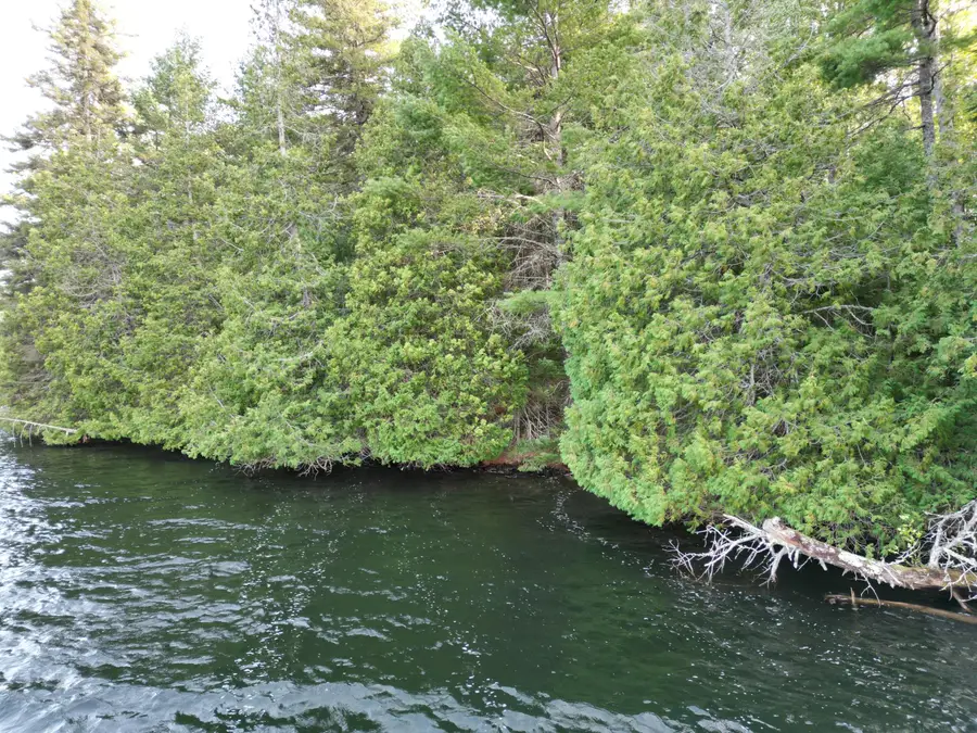 Lot 1 Off North Shore Road, Lake View, ME 04463 - #2