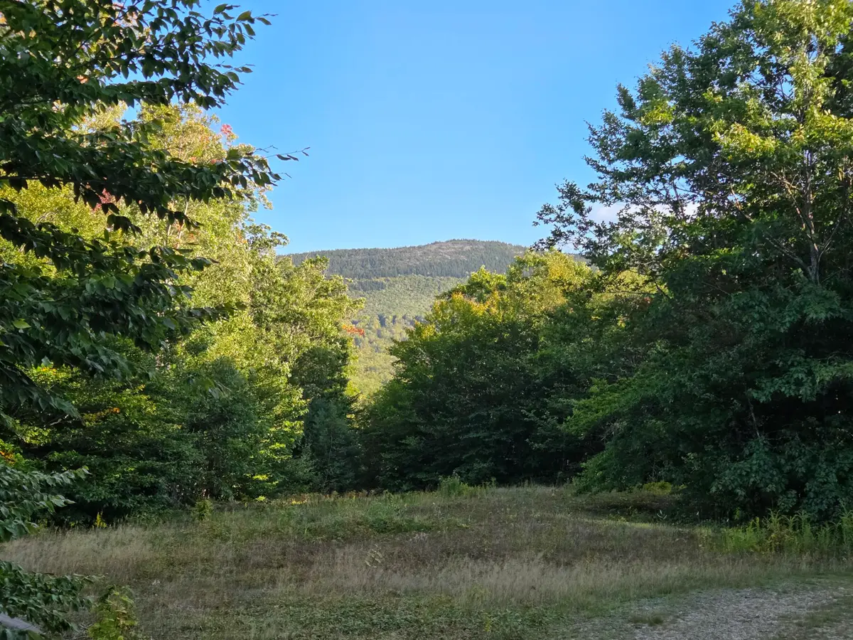 1155 Dickvale Road, Peru, ME 04290 - #1