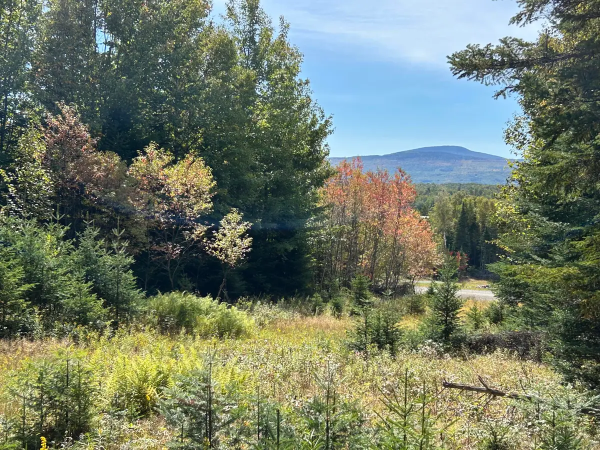 Lot 6 Johnson Lane, Rangeley, ME 04970 - #1