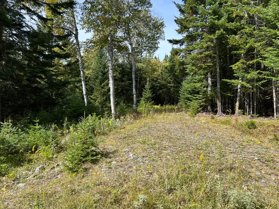 Lot 6 Johnson Lane, Rangeley, ME 04970 - #3