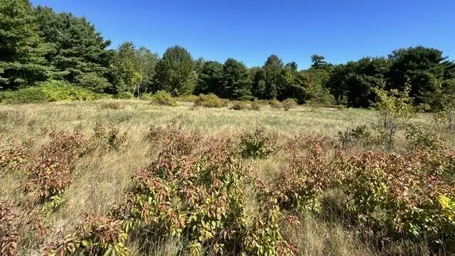 229-052 Rte 109 Route, Acton, ME 04001 - #2