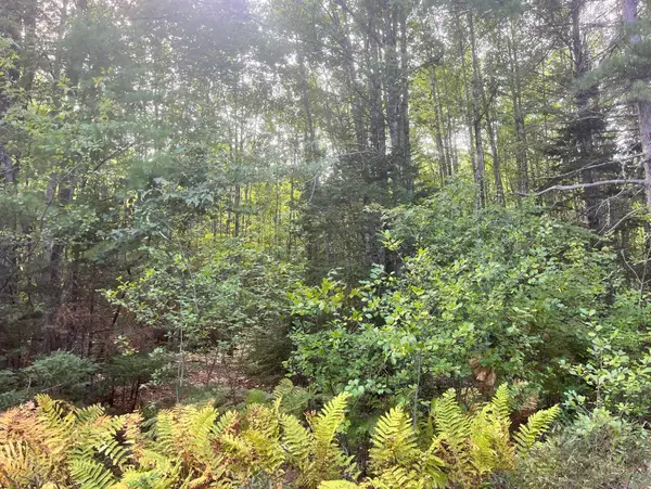 009 Morgan Bay Road, Surry, ME 04684