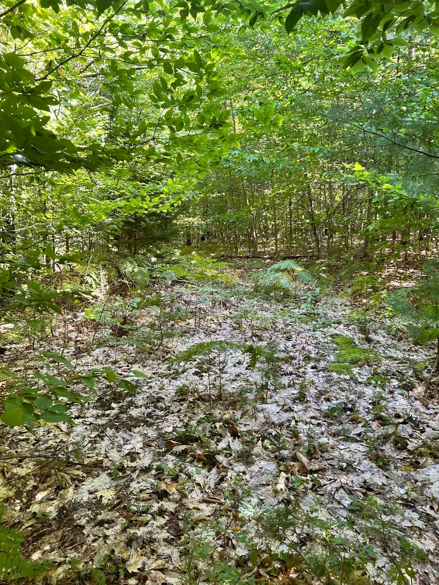 27 Lookout Mountain Lane, Greenwood, ME 04255 - #3