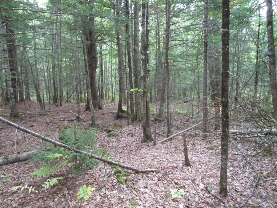 2B N Howland Road Nw, Howland, ME 04448 - #2