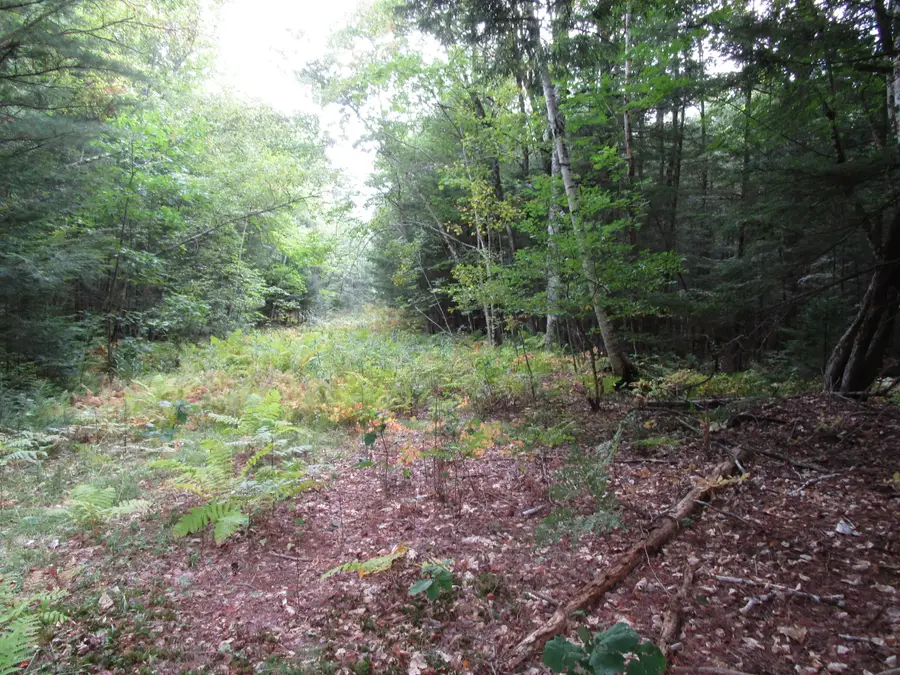 2B N Howland Road Nw, Howland, ME 04448 - #3