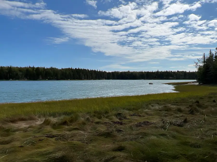 Lot #3 Pyne Cove Road, Steuben, ME 04680 - #2
