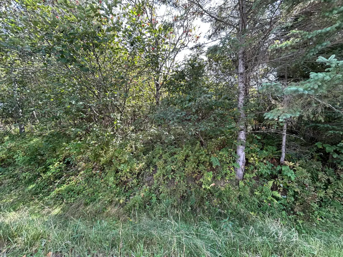 M38/L33 Grandview Avenue, Rangeley, ME 04970 - #1