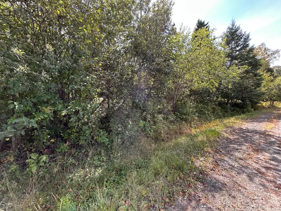 M38/L33 Grandview Avenue, Rangeley, ME 04970 - #2